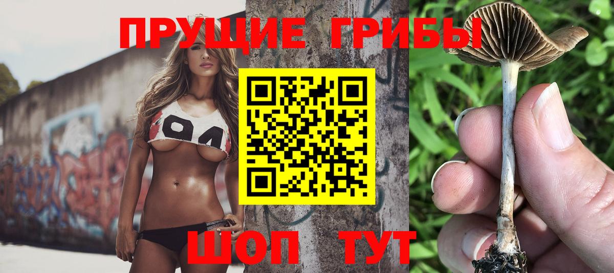 Псилоцибиновые грибы Magic Shrooms Ахтубинск