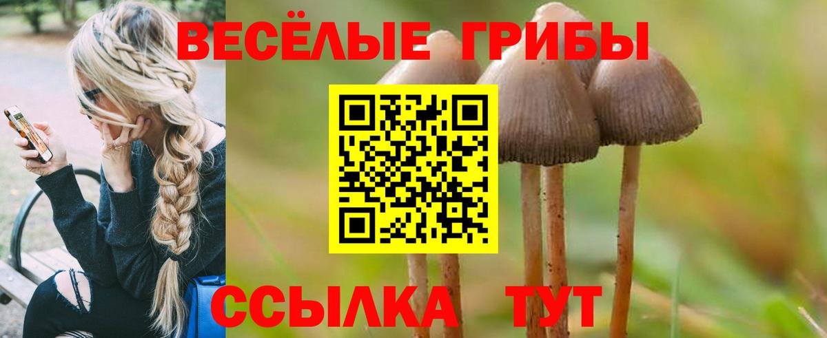 Ахтубинск  Галлюциногенные грибы Cubensis  Вход с VPN  Псилоцибиновые грибы Psilocybe 
